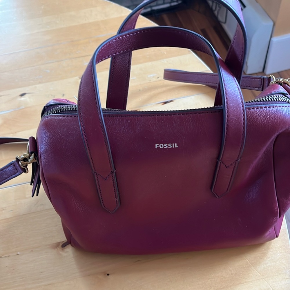 New with tags Fossil Sydney Satchel